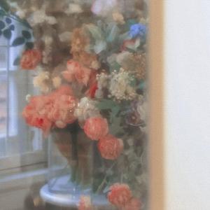 白驹(HBD七七)