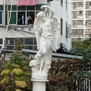 白月光
