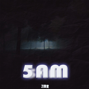 5am