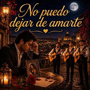 No Puedo Dejar De Amarte