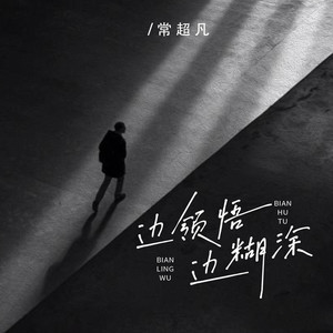 边领悟边糊涂