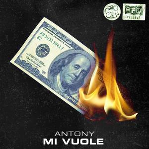 Mi Vuole (feat. Faruq)