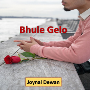 Bhule Gelo