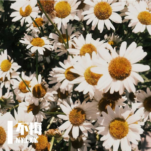 回首才发现-整曲