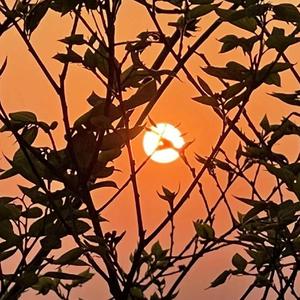 表白-凛轩-弹唱版（阿青 remix）