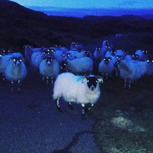 gabapentin ii (feat. E_DEATH) (FINCHES Remix)