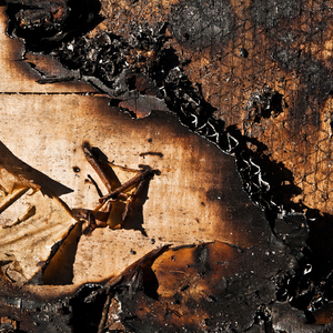 Ohy Ohy Balooy (Cali Lanauze Remix & Emiliano Martini Remix)