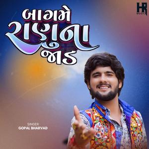 બાગ મેં રાયણુ ના ઝાડ || LAGAN GEET || GOPAL BHARWAD