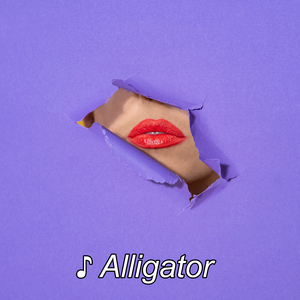 Alligator