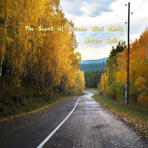 가을바람소리 ASMR