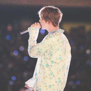 Moon中文填词版（翻自 白天使）