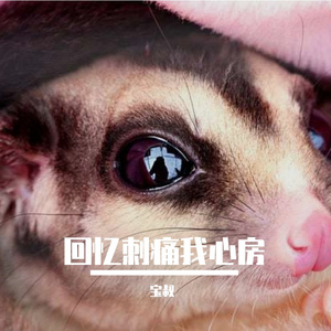 回忆刺痛我心房