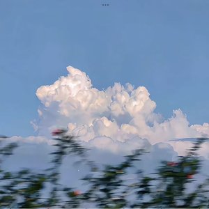雾甜秋色里