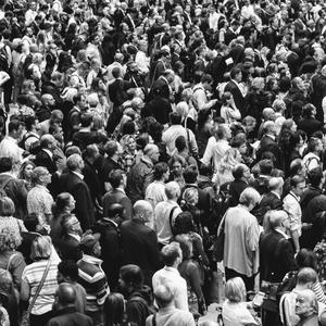 You Have Ears Right?