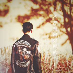 不愿走出你画的圆