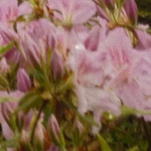 Wind (Instrumental)