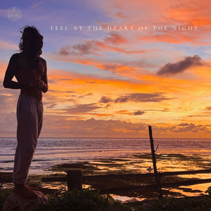 Feel At The Heart Of The Night