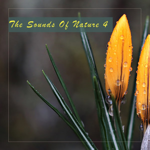 Wrapping (Water Version)