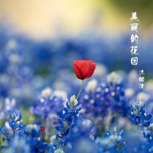 你美丽了我的人生