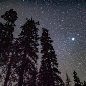 张芸京-偏爱（范书豪 remix）