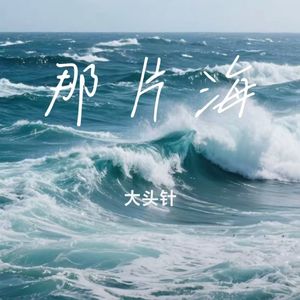 那片海-大头针