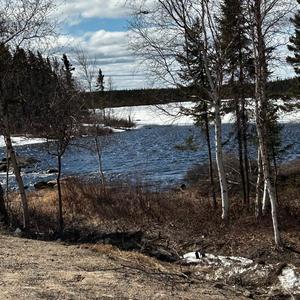 Are You Gullible(Education Doctors Turn Losses Into Profits)