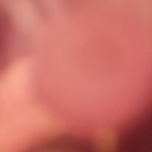 Looking for Love