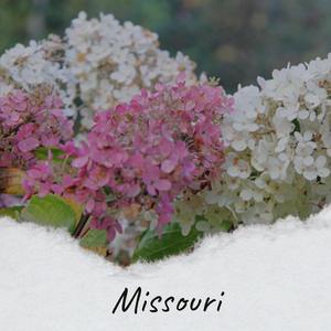 Missouri