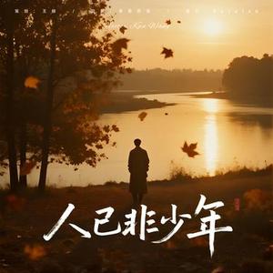 人已非少年