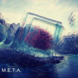 M.E.T.A.