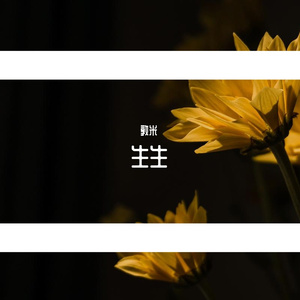 生生 伴奏