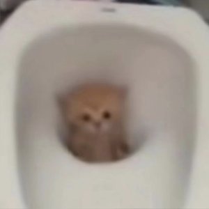 不想争吵，不留遗憾