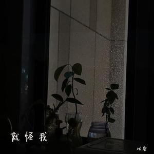 就怪我 (降调)