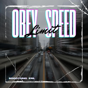 Obey Speed Limit