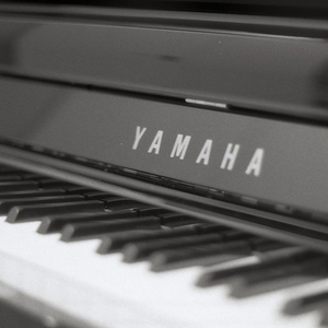 乘风破浪（练习版）