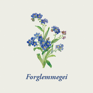 Forglemmegei