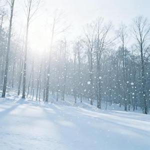 雪 Distance (Cover Capper & 罗言RollFlash)