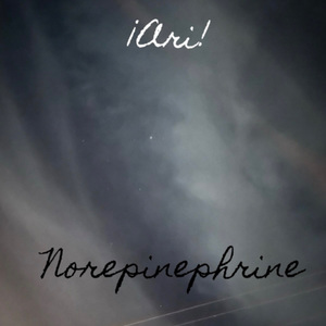 Norepinephrine