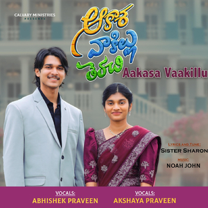 Aakasa Vaakillu (feat. Abhishek Praveen)