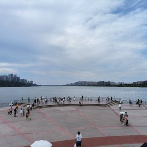 芊芊（翻自：回音哥）