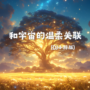 和宇宙的温柔关联