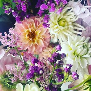 小小校歌(Live) - cover. 陈绮贞