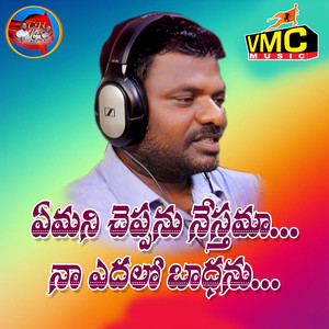 Yemani Cheppanu Nesthama Na Yedhalo Baadanau
