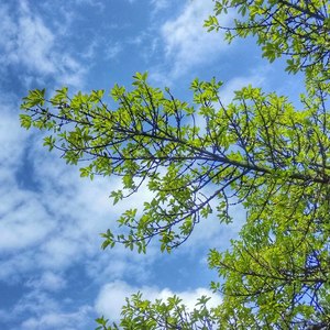 最美情侣（Cover 白小白）