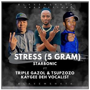 STRESS(5 GRAM) (feat. TRIPLE GAZOL, TSUPZOZO & KAYGEE DEH VOCALIST)