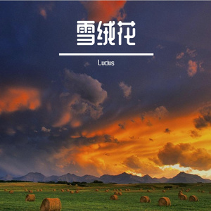 思念的牢笼门锁锈死