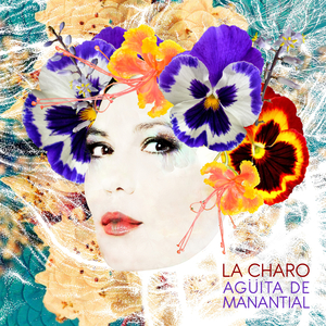 Agüita de Manantial