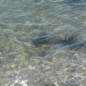Bright Waters