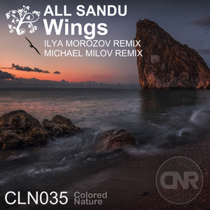 Wings (Michael Milov Remix)
