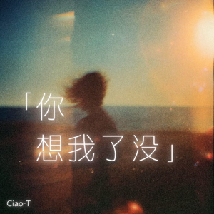 你想我了没（沧桑版）